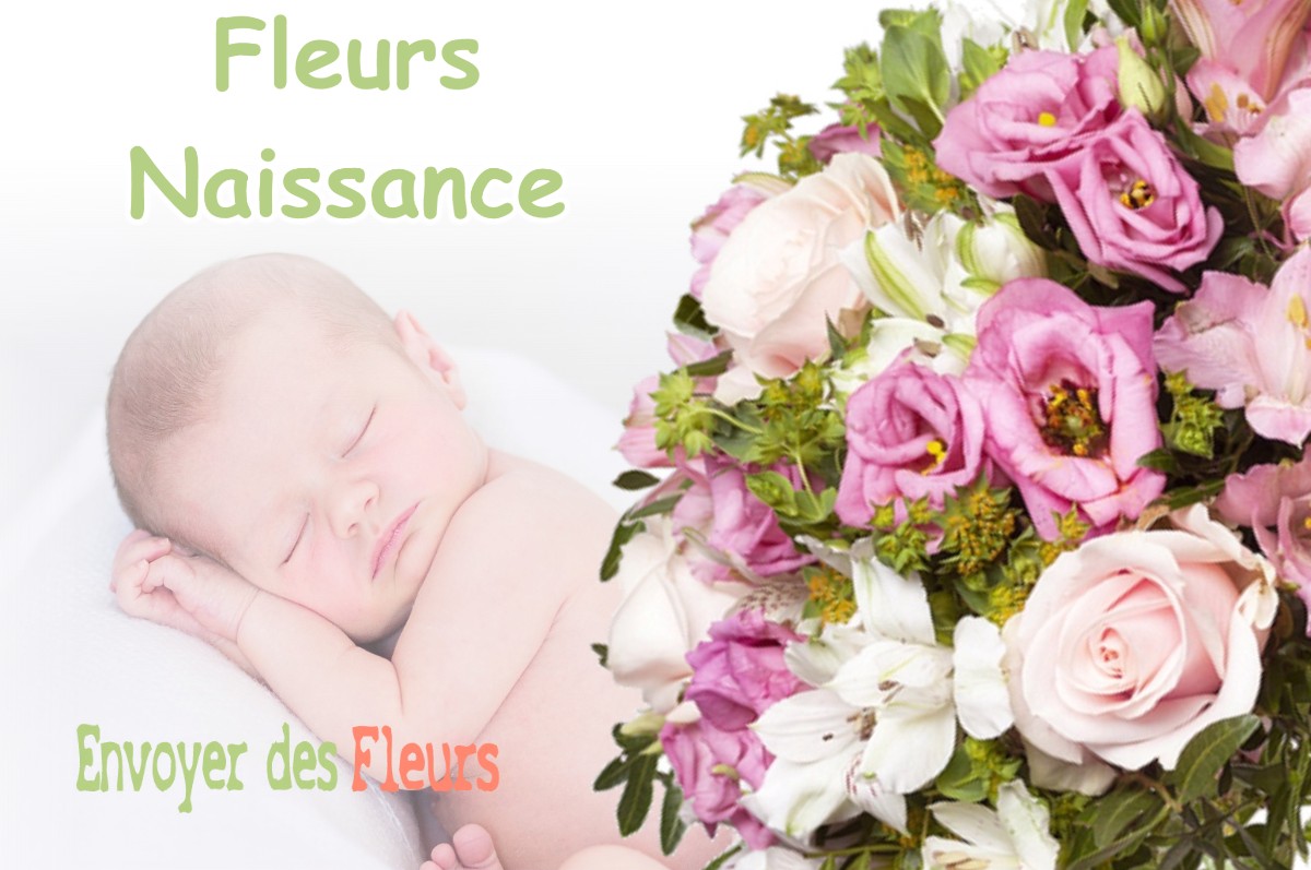 lIVRAISON FLEURS NAISSANCE à LIT-ET-MIXE